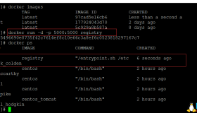 Docker搭建私有仓库
