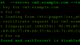 Redhat Linux下Puppet集中配置管理