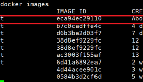 DockerFile创建一个Nginx容器全过程