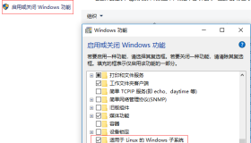Windows Ubuntu Bash申请免费通配符证书(Let’s Encrypt)并绑定IIS