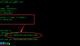 Nginx的优先匹配规则