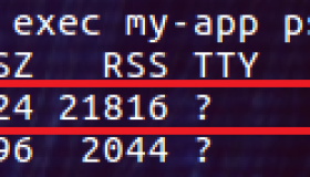 在 Docker 容器中捕获信号