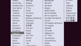 Ubuntu Server 16.04 安装并用两块硬盘做RAID1