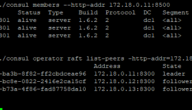 基于Docker的Consul集群实现服务发现