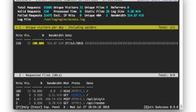 使用GoAccess分析Nginx的Virtual Host日志记录