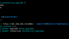 配置Nginx反向代理WebSocket，以代理noVNC为例