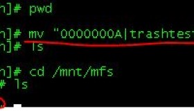 MooseFS的使用与操作