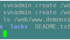 SVN版本控制系统搭建（结合HTTP服务）