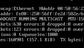 VMware虚拟机在仅主机模式下的网卡无法动态获取IP