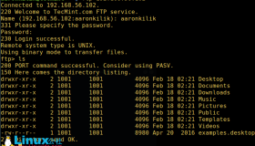 Ubuntu 下安装和配置 FTP 详解