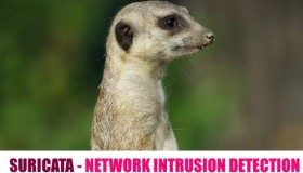 如何在 Linux 系统上安装 Suricata 入侵检测系统