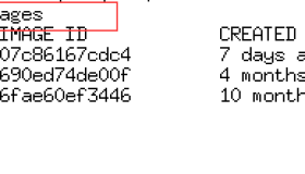 paas架构之Docker镜像管理