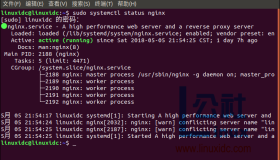 如何在Ubuntu 18.04上安装Nginx