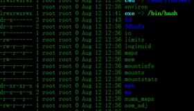 恢复误删除的Nginx日志