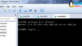 Linux下安装Zookeeper集群