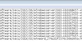 Windows Server 2008 R2下使用explorer批量下载文件