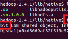 教你如何查看识别Hadoop是32位还是64位