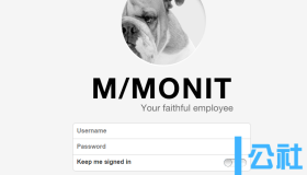 使用M/Monit进行可视化集中进程管