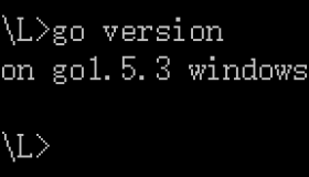 Go开发环境配置