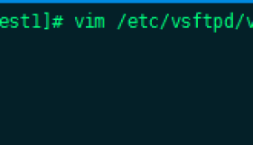 vsftp之虚拟用户