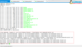 Hadoop学习教程(四) —- Hadoop集群