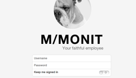 使用M/Monit进行可视化集中进程管理