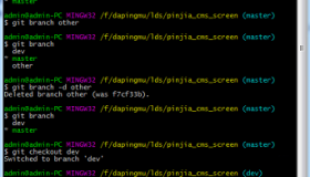 Git创建分支并提交项目
