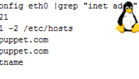 Linux下安装Puppet