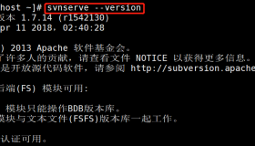 在Linux上搭建VisualSVN Server（svn服务端）
