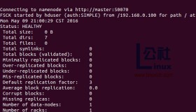 Hadoop 里的 fsck 命令