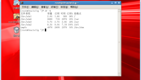 Oracle数据库中字符乱码