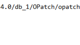 Oracle 11.2.0.4 RAC 更新GI PSU （p24436338_112040_Linux-x86-64.zip）