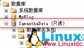 SQL Server 2005附加数据库为只读的解决方法