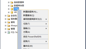用分离、附加的方式实现SQL Server数据库的备份和还原