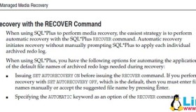 Oracle RMAN 自动恢复
