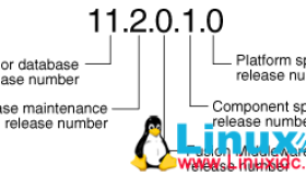 Oracle 118C 版本发布策略的变更