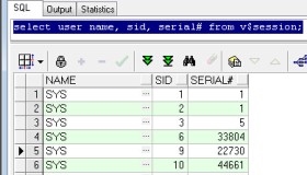 ORA-01940:无法删除当前已链接的用户