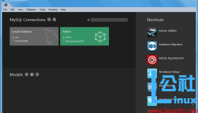 MySQL WorkBench修改MySQL配置注意事项