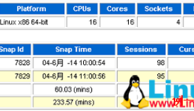 AWR报告参数：DB TIME和DB CPU