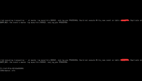 线上Slave报1062的案例