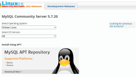 如何下载MySQL历史版本