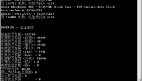 Oracle数据库文件坏块损坏的恢复方法