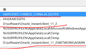 Windows 10下PLSQL Developer 连接Ubuntu上安装的Oracle 11g