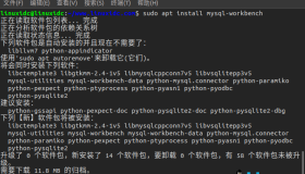 如何在 Ubuntu 18.04 上安装和使用 MySQL Workbench