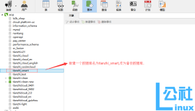 MySQL数据库迁移至Oracle数据库