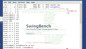 Linux下安装压力测试工具swingbench及使用详解