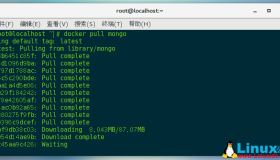 Docker搭建MongoDB