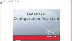Oracle 11gR2 硬件导致重新添加节点
