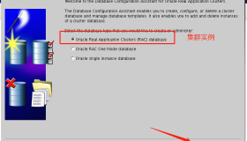 Oracle RAC集群删除节点