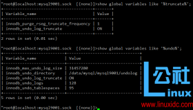 独立undo表空间在线回收